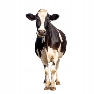 Maštaľný hnoj 100% granulovaný 20kg. Jesenná jar eko